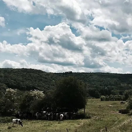 Dom wakacyjny N°5 *